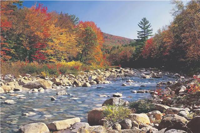 Marcos para cuadros laminas enmarcados, Autumn Brook